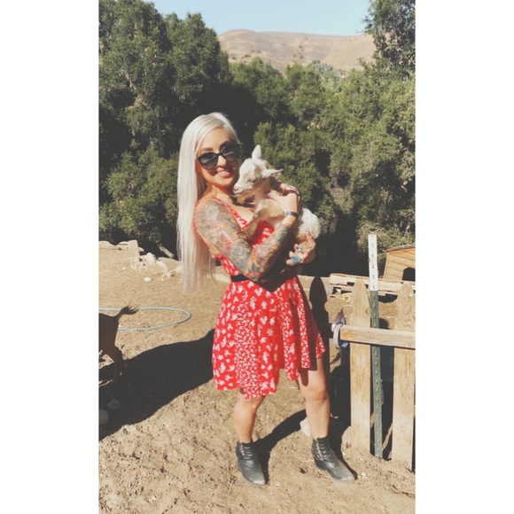 Meet your Posher, Abby - Picture 2 of 11